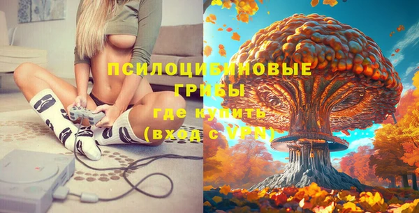 дурь Абаза