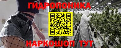 каннабис Кимры