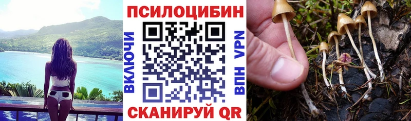Галлюциногенные грибы мицелий  купить наркотик  Троицк 